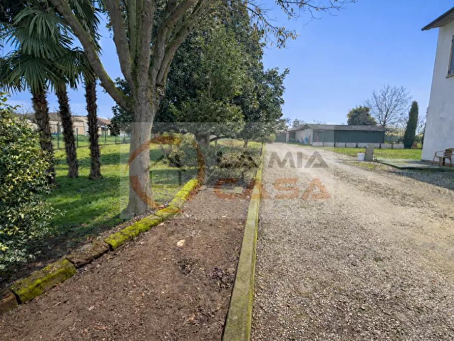 Immagine 12 di Casa indipendente in vendita  in Via Romea a Brugine