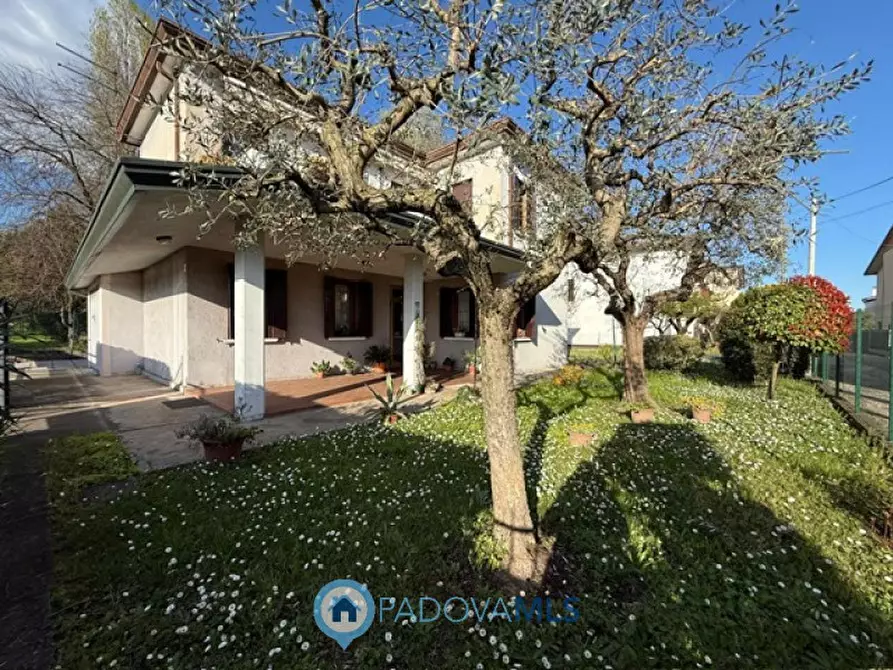 Immagine 1 di Casa indipendente in vendita  in via roma, 303 a Albignasego