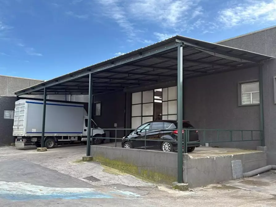 Immagine 3 di Capannone industriale in affitto  in SP231, 19, 70038 Terlizzi BA, Italia a Terlizzi