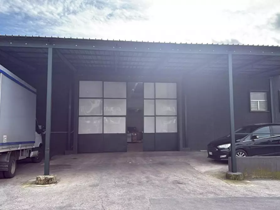 Immagine 4 di Capannone industriale in affitto  in SP231, 19, 70038 Terlizzi BA, Italia a Terlizzi