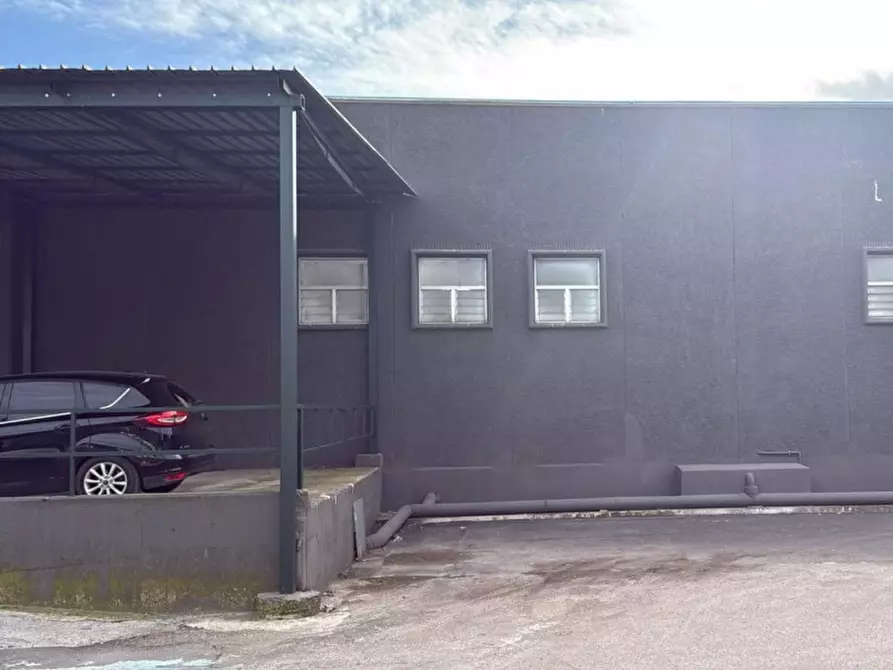 Immagine 5 di Capannone industriale in affitto  in SP231, 19, 70038 Terlizzi BA, Italia a Terlizzi