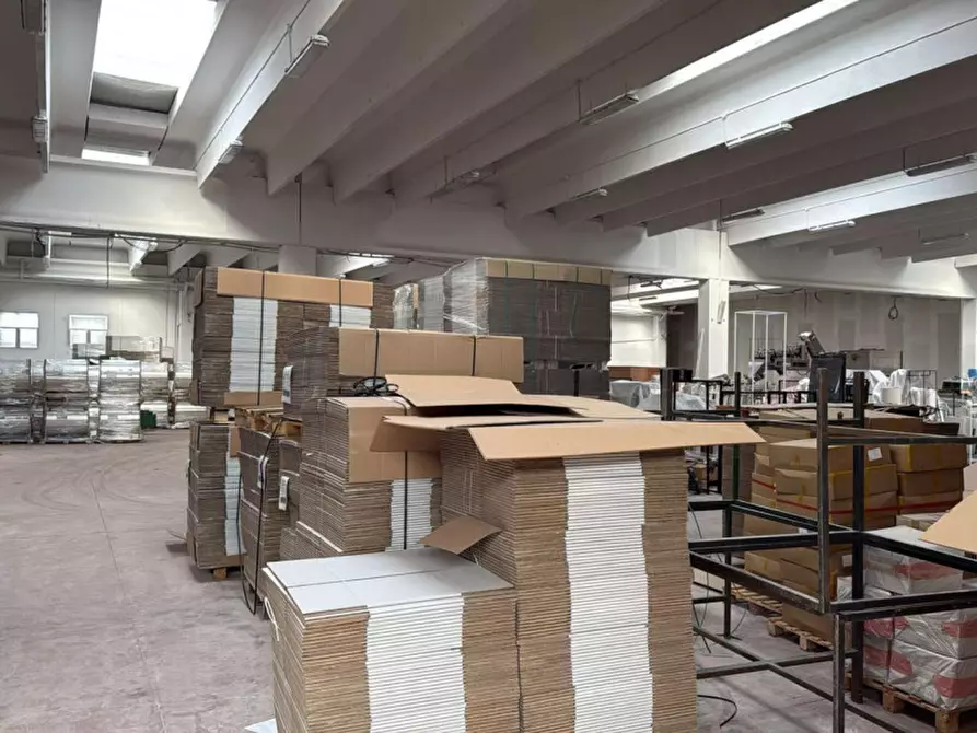 Immagine 9 di Capannone industriale in affitto  in SP231, 19, 70038 Terlizzi BA, Italia a Terlizzi