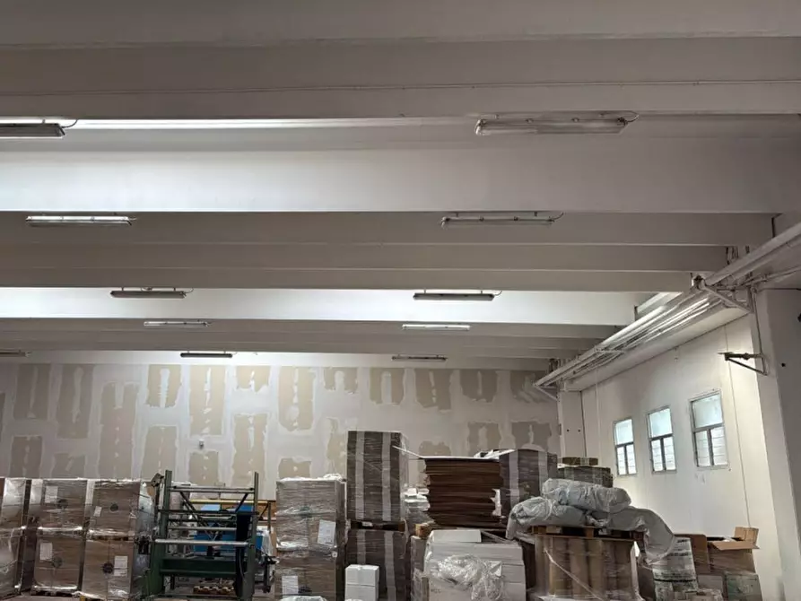 Immagine 11 di Capannone industriale in affitto  in SP231, 19, 70038 Terlizzi BA, Italia a Terlizzi