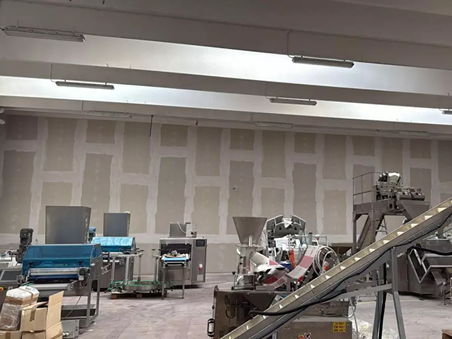 Immagine 13 di Capannone industriale in affitto  in SP231, 19, 70038 Terlizzi BA, Italia a Terlizzi