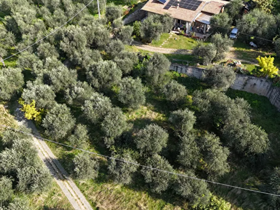 Immagine 2 di Terreno in vendita  in Via Navene Vecchia a Malcesine