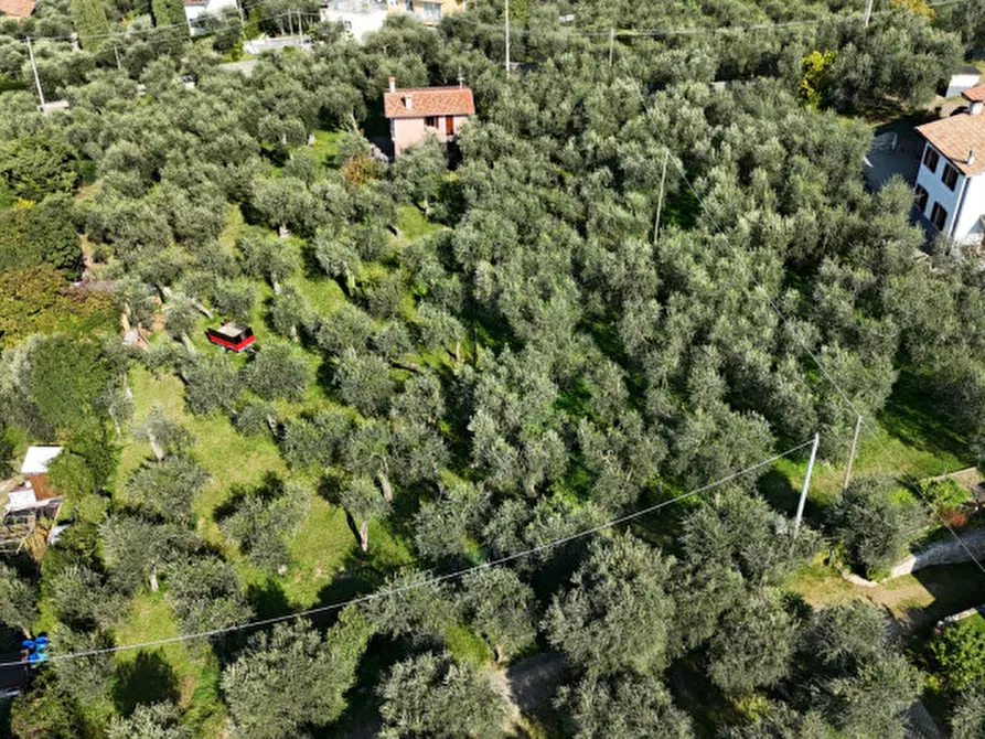 Immagine 3 di Terreno in vendita  in Via Navene Vecchia a Malcesine