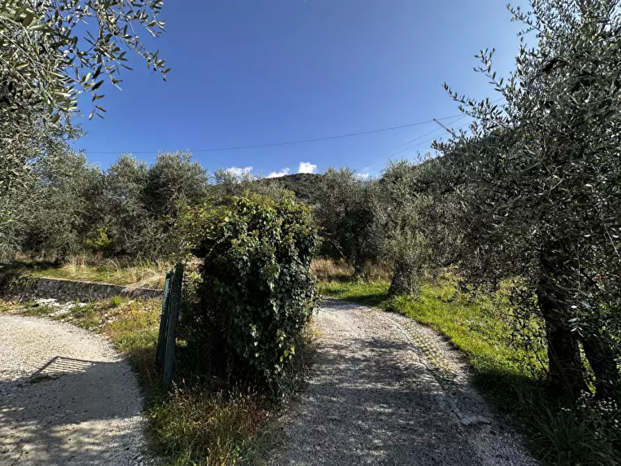 Immagine 4 di Terreno in vendita  in Via Navene Vecchia a Malcesine