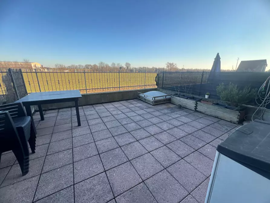 Immagine 10 di Villetta a schiera in vendita  in VIA XX MARZO a Cologna Veneta