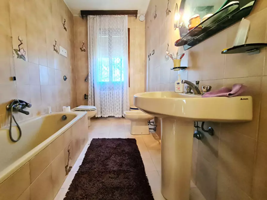 Immagine 21 di Rustico / casale in vendita  in VIA MONTE VERSA a Vo