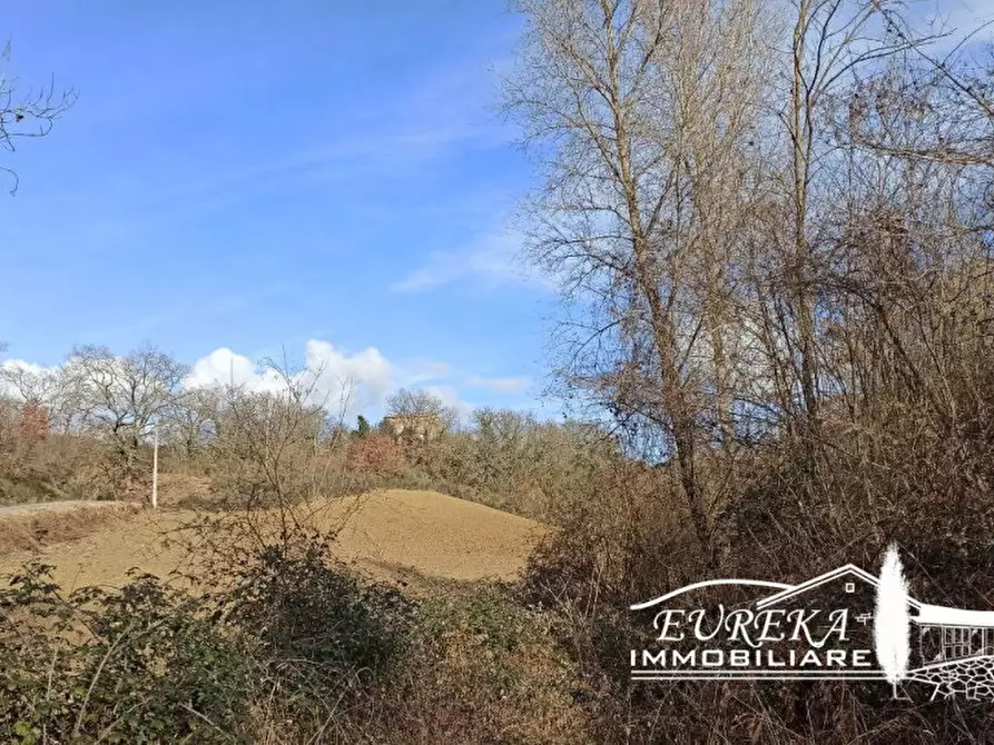 Immagine 4 di Casa indipendente in vendita  in spiazzolino a Monteleone D'orvieto