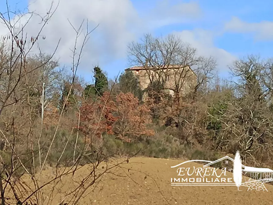 Immagine 5 di Casa indipendente in vendita  in spiazzolino a Monteleone D'orvieto