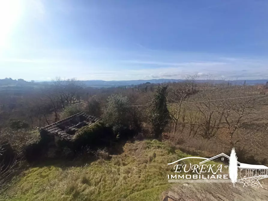 Immagine 18 di Casa indipendente in vendita  in spiazzolino a Monteleone D'orvieto