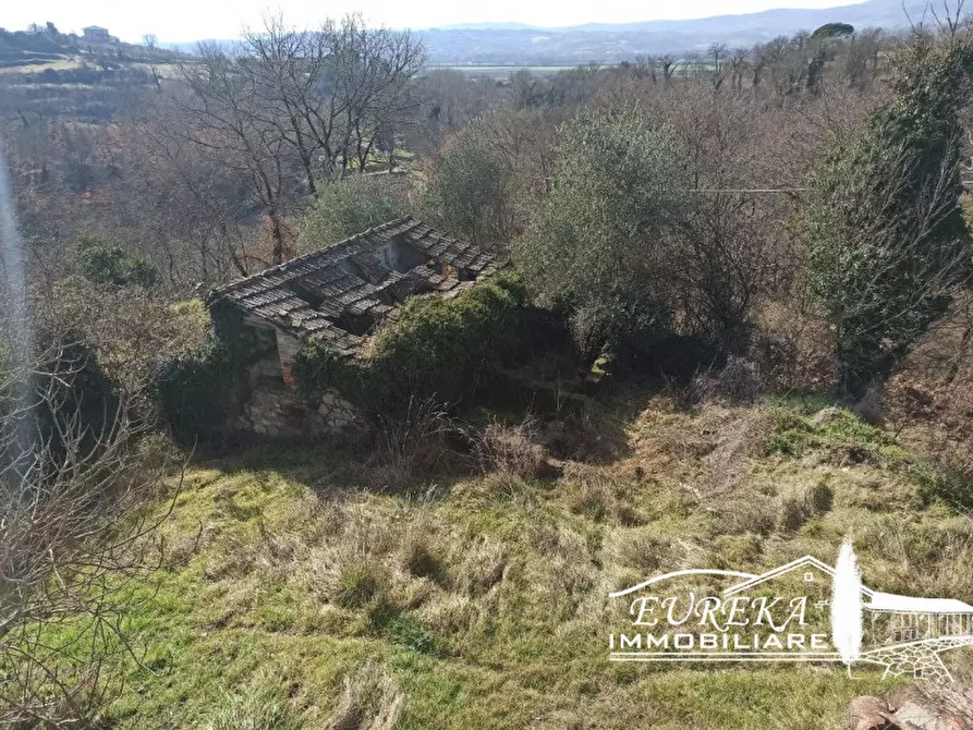Immagine 19 di Casa indipendente in vendita  in spiazzolino a Monteleone D'orvieto