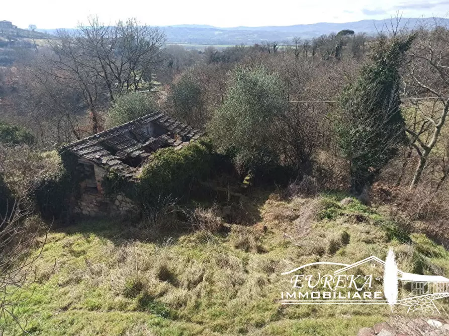 Immagine 20 di Casa indipendente in vendita  in spiazzolino a Monteleone D'orvieto