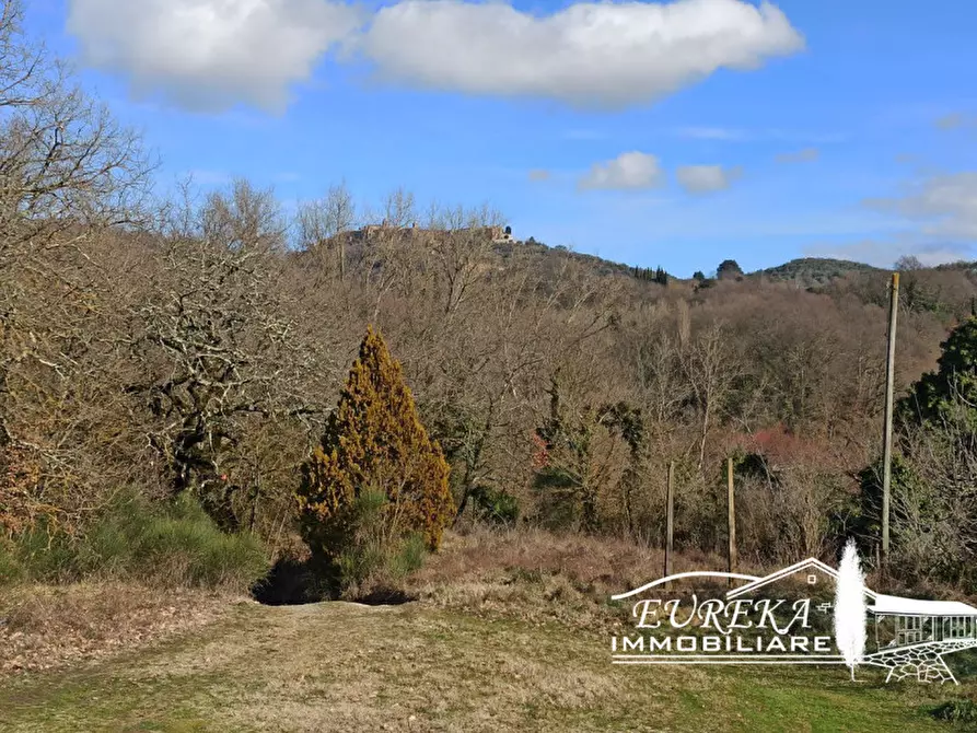 Immagine 37 di Casa indipendente in vendita  in spiazzolino a Monteleone D'orvieto