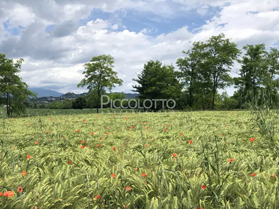 Immagine 8 di Appartamento in vendita  in via Calò a Asolo