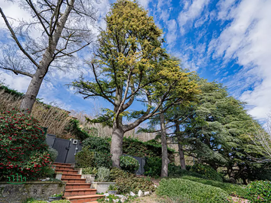 Immagine 41 di Villa in vendita  in Via dei Pini a Pianoro