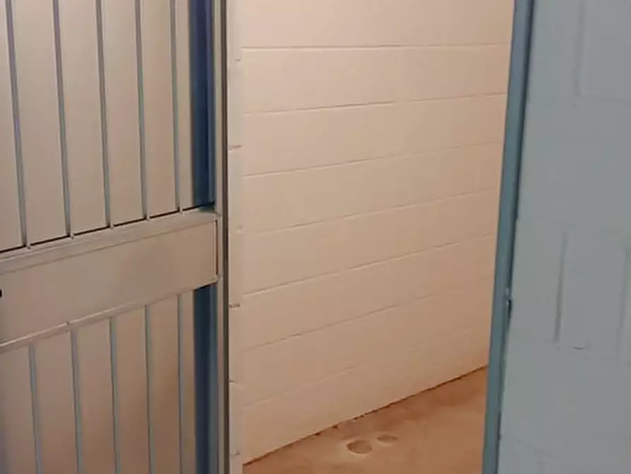 Immagine 20 di Appartamento in vendita  a Rovigo