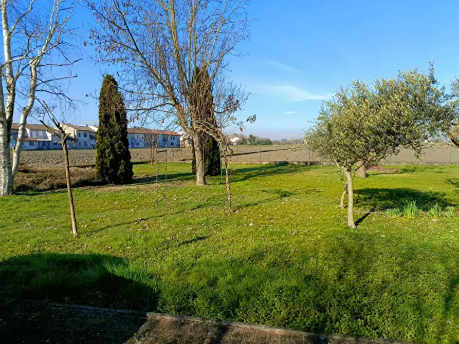 Immagine 24 di Casa indipendente in vendita  in Cantone Grassi 37 a Casale Monferrato