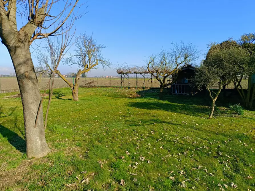 Immagine 26 di Casa indipendente in vendita  in Cantone Grassi 37 a Casale Monferrato