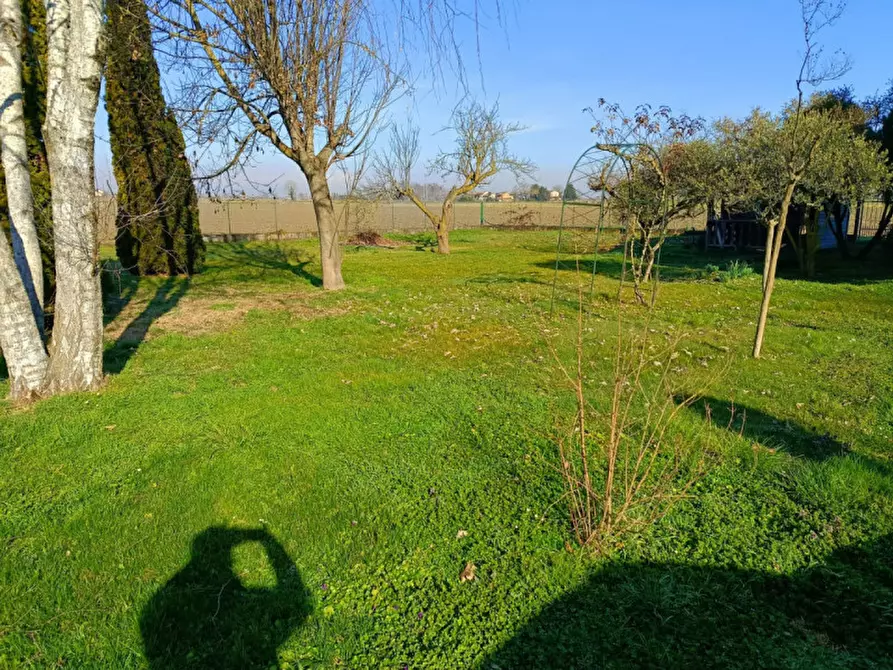 Immagine 29 di Casa indipendente in vendita  in Cantone Grassi 37 a Casale Monferrato