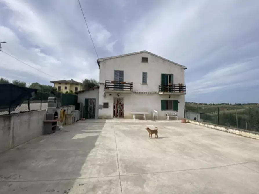 Immagine 3 di Casa indipendente in vendita  in Contrada San Giuseppe 11 a Controguerra