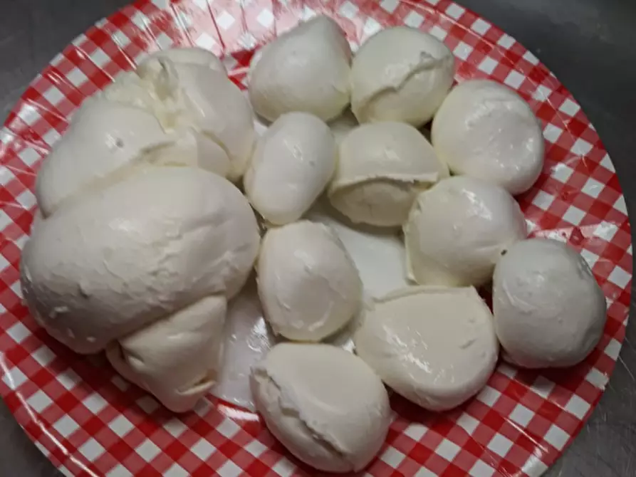 Immagine 17 di Attività commerciale in affitto  in Via del Brennero a Trento