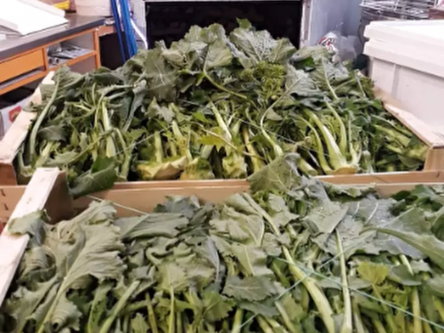 Immagine 34 di Attività commerciale in affitto  in Via del Brennero a Trento