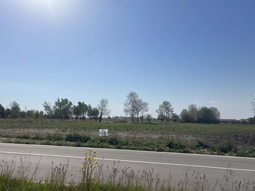 Immagine 3 di Terreno in vendita  in Via Mincana a Due Carrare