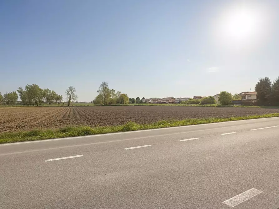 Immagine 7 di Terreno in vendita  in Via Mincana a Due Carrare