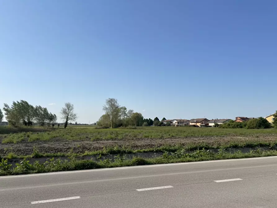Immagine 8 di Terreno in vendita  in Via Mincana a Due Carrare