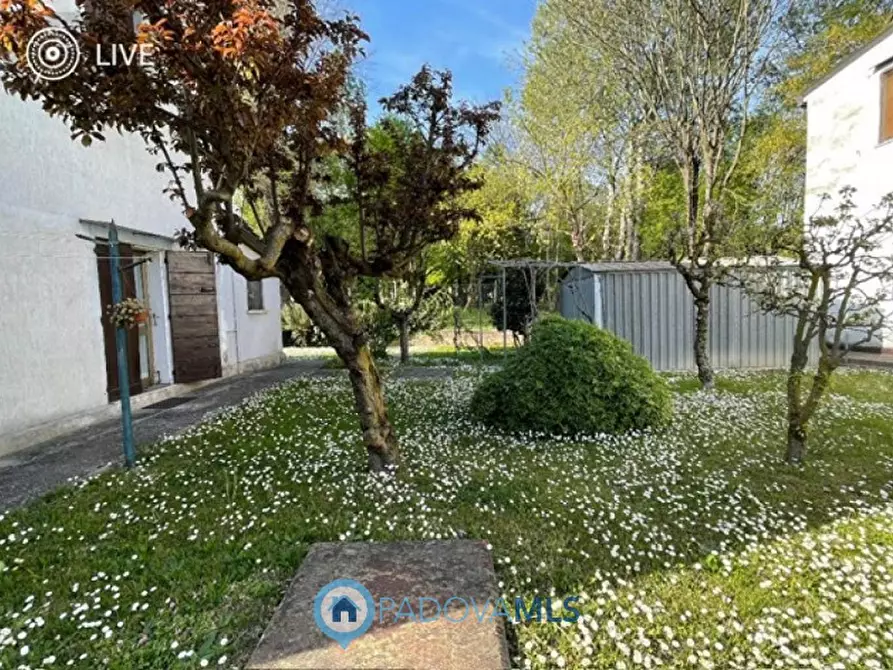 Immagine 7 di Casa indipendente in vendita  in Via Roma a Albignasego