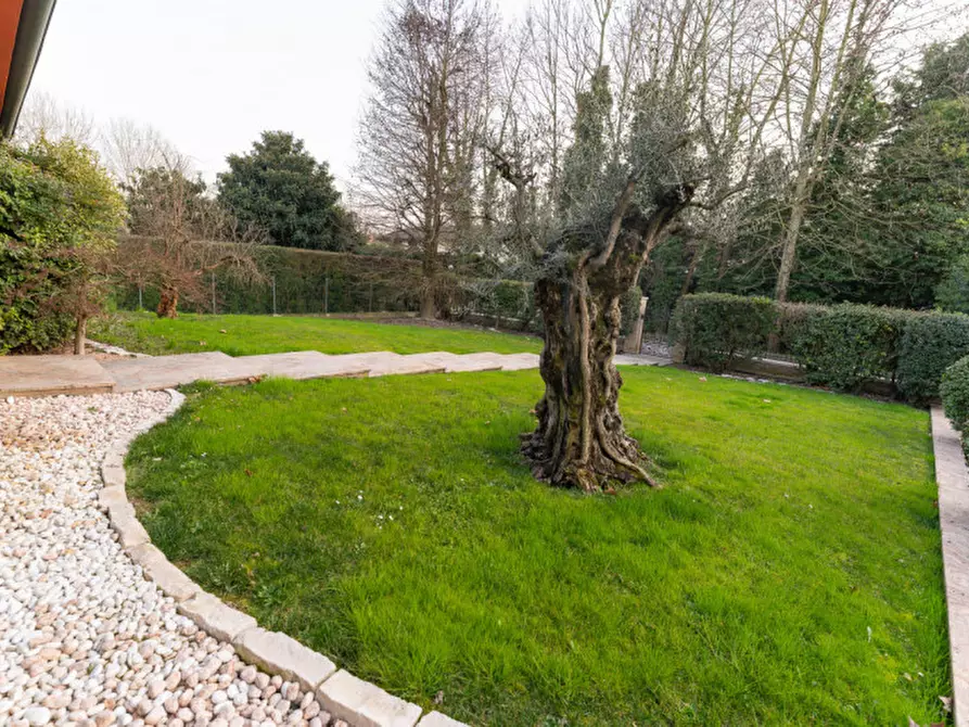 Immagine 7 di Villa in vendita  in Via Armando Diaz a Vigonza