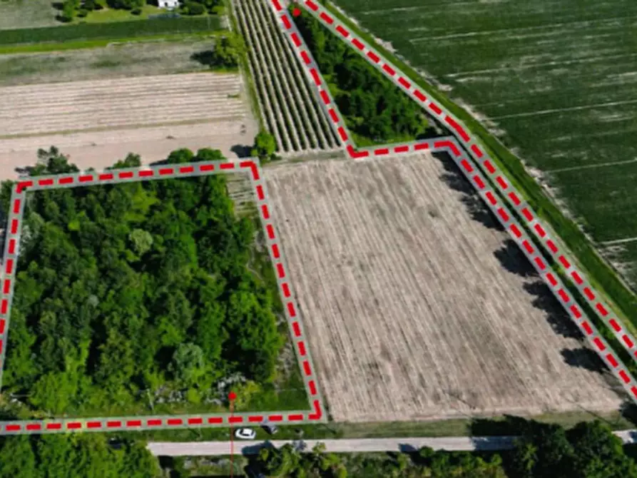 Immagine 2 di Terreno in vendita  in Via Giacomo Matteotti a Maserada Sul Piave