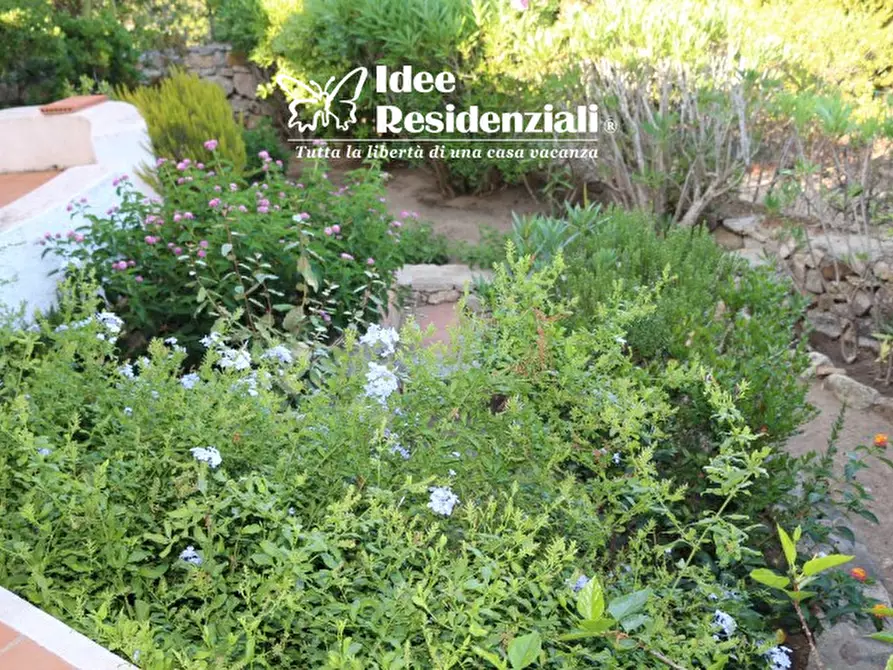 Immagine 19 di Villa in vendita  in Loc. Porto Rafael a Palau