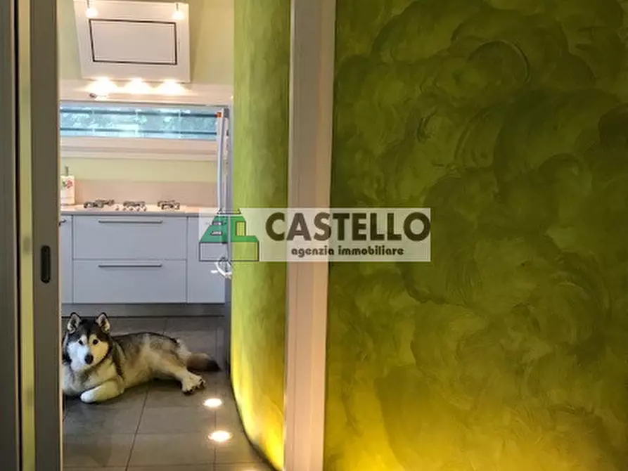 Immagine 7 di Casa bifamiliare in vendita  in Via Roma 28 a Noventa Padovana