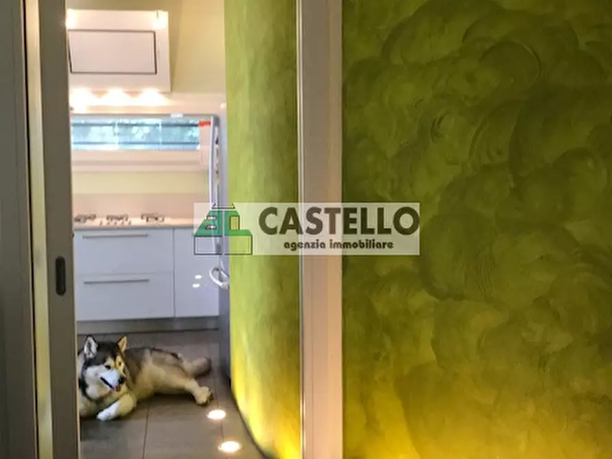 Immagine 49 di Casa bifamiliare in vendita  in Via Roma 28 a Noventa Padovana