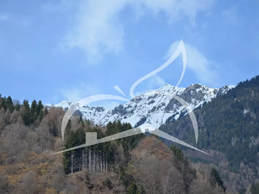 Immagine 10 di Appartamento in vendita  in Via Nazionale a Sella Giudicarie