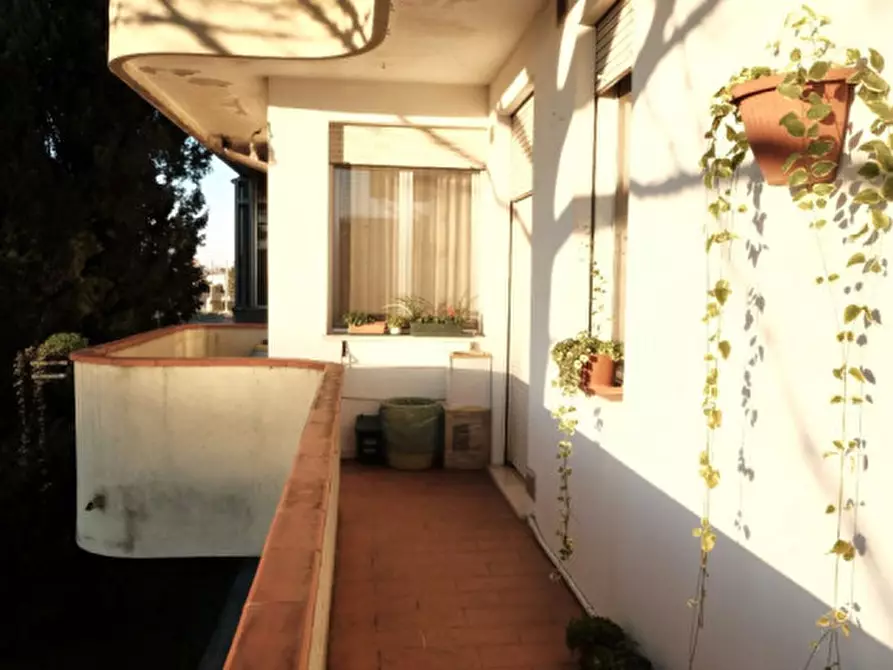 Immagine 4 di Villa in vendita  in Correzzola a Correzzola