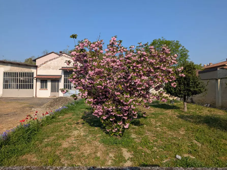 Immagine 14 di Casa indipendente in vendita  in Via Circonvallazione  196 a Occimiano
