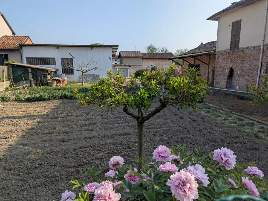Immagine 15 di Casa indipendente in vendita  in Via Circonvallazione  196 a Occimiano