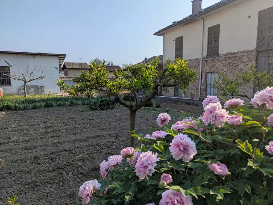 Immagine 16 di Casa indipendente in vendita  in Via Circonvallazione  196 a Occimiano