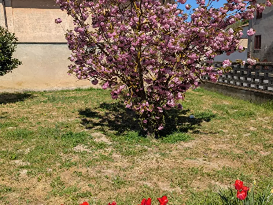 Immagine 38 di Casa indipendente in vendita  in Via Circonvallazione  196 a Occimiano