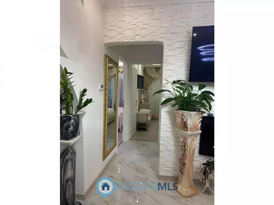 Immagine 10 di Appartamento in vendita  in via T. Vecellio a Padova