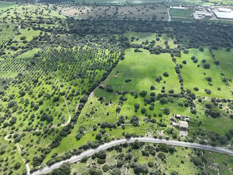 Immagine 2 di Terreno in vendita  in Strada regionale Ficazza-Palma a Ragusa