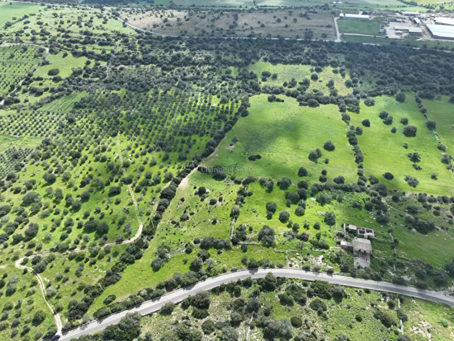 Immagine 3 di Terreno in vendita  in Strada regionale Ficazza-Palma a Ragusa
