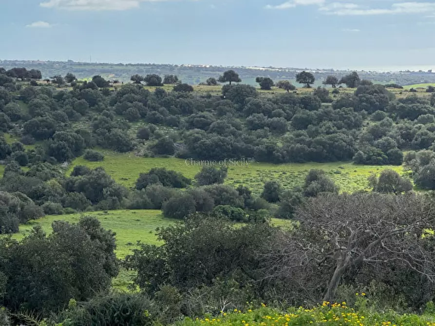 Immagine 4 di Terreno in vendita  in Strada regionale Ficazza-Palma a Ragusa