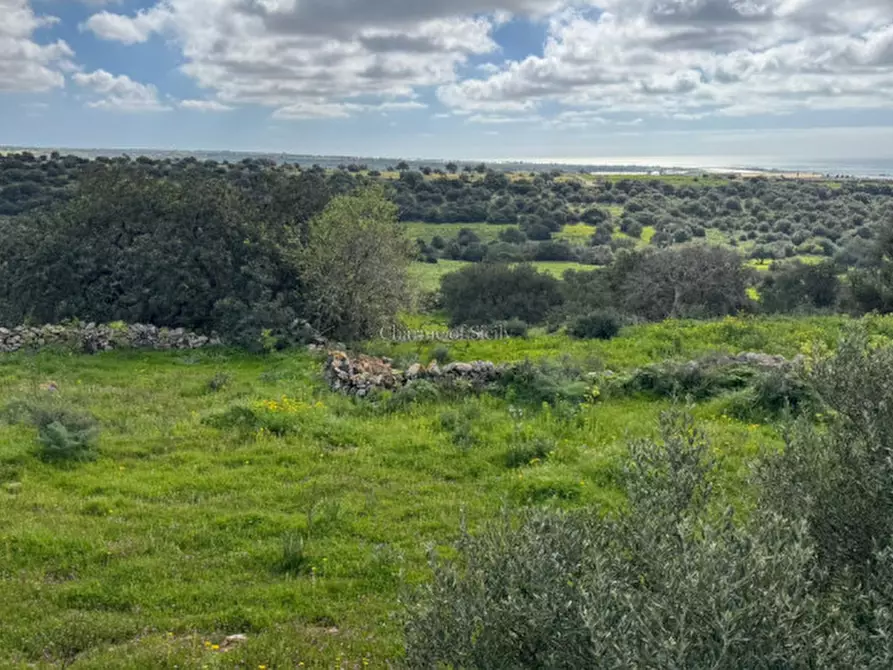 Immagine 10 di Terreno in vendita  in Strada regionale Ficazza-Palma a Ragusa