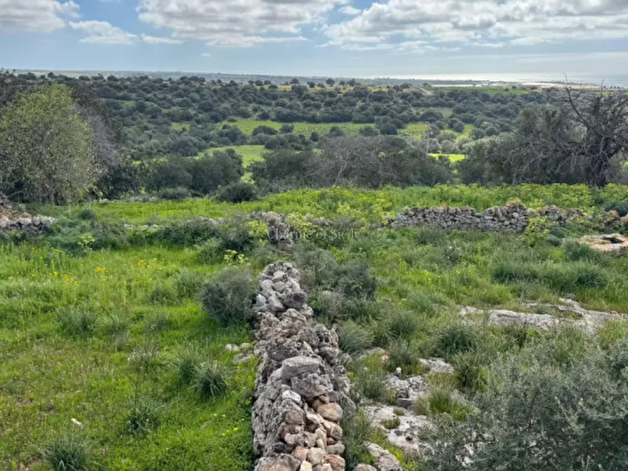 Immagine 11 di Terreno in vendita  in Strada regionale Ficazza-Palma a Ragusa