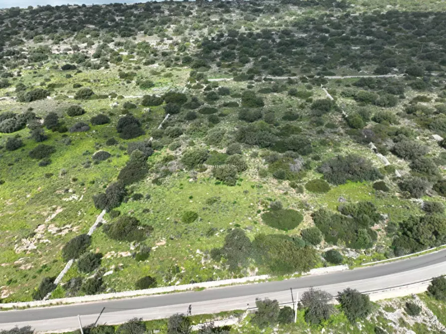 Immagine 16 di Terreno in vendita  in Strada regionale Ficazza-Palma a Ragusa